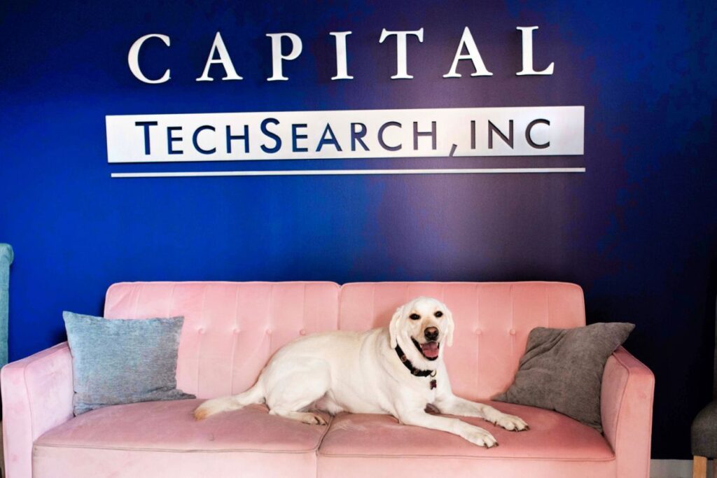 golden lab laying on pink couch under blue wall with capital techsearch logo